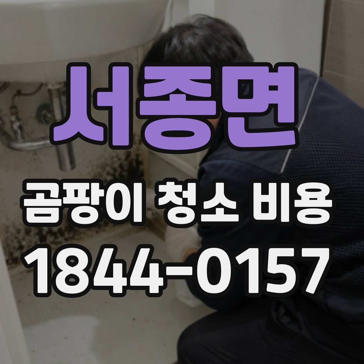 서종면 곰팡이 청소 비용