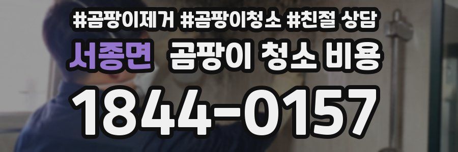 서종면 곰팡이 청소 비용