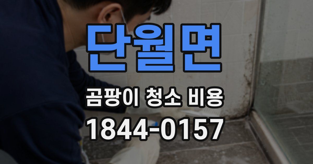 단월면 곰팡이 청소 비용