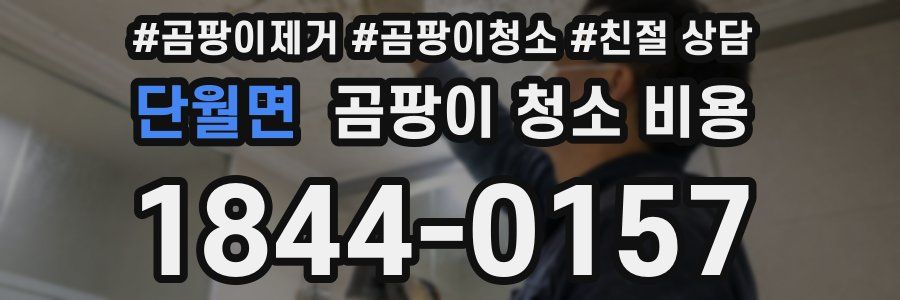 단월면 곰팡이 청소 비용