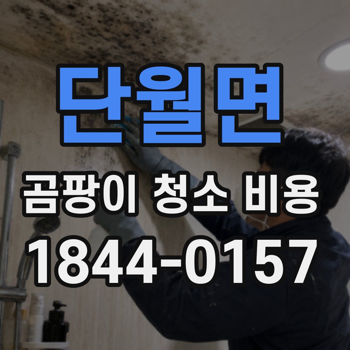 단월면 곰팡이 청소 비용