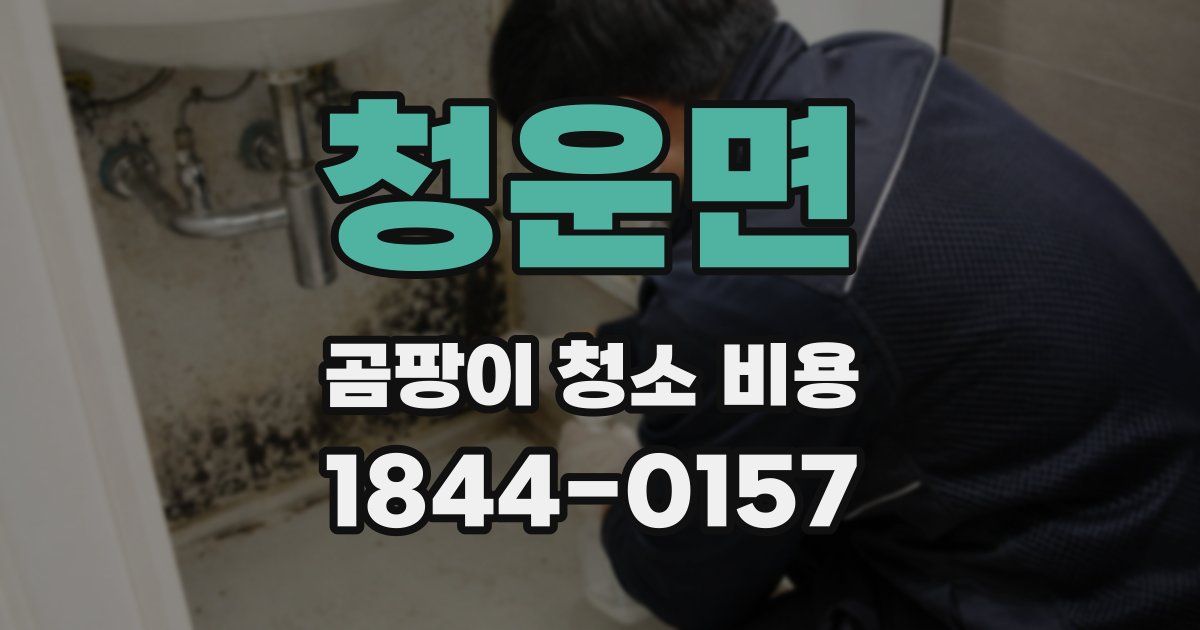 청운면 곰팡이 청소 비용