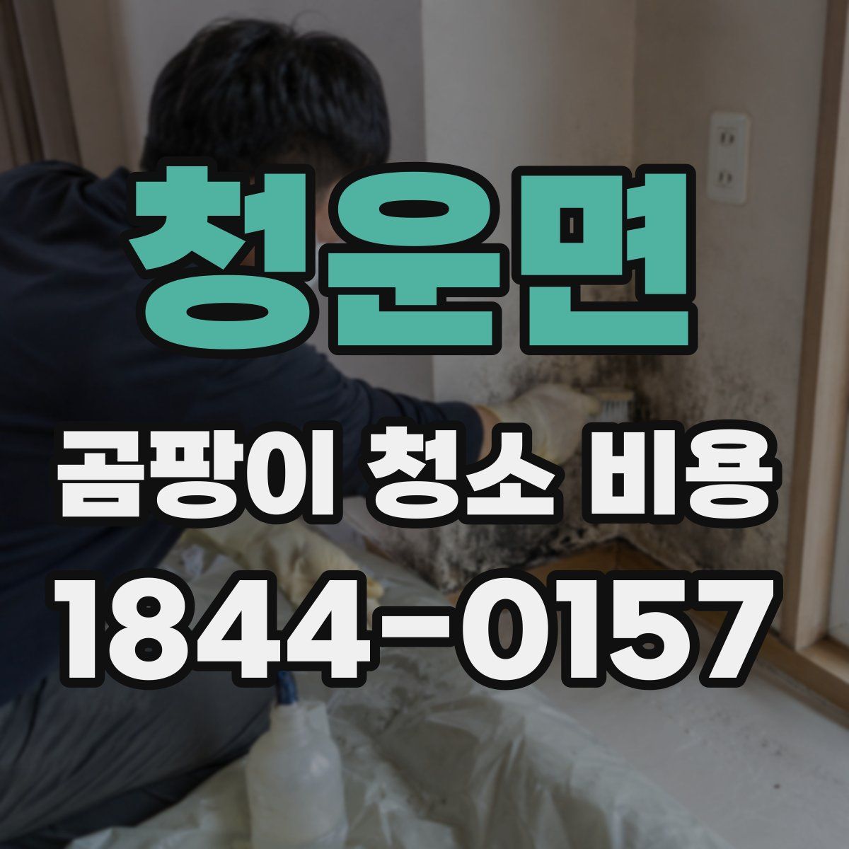청운면 곰팡이 청소 비용