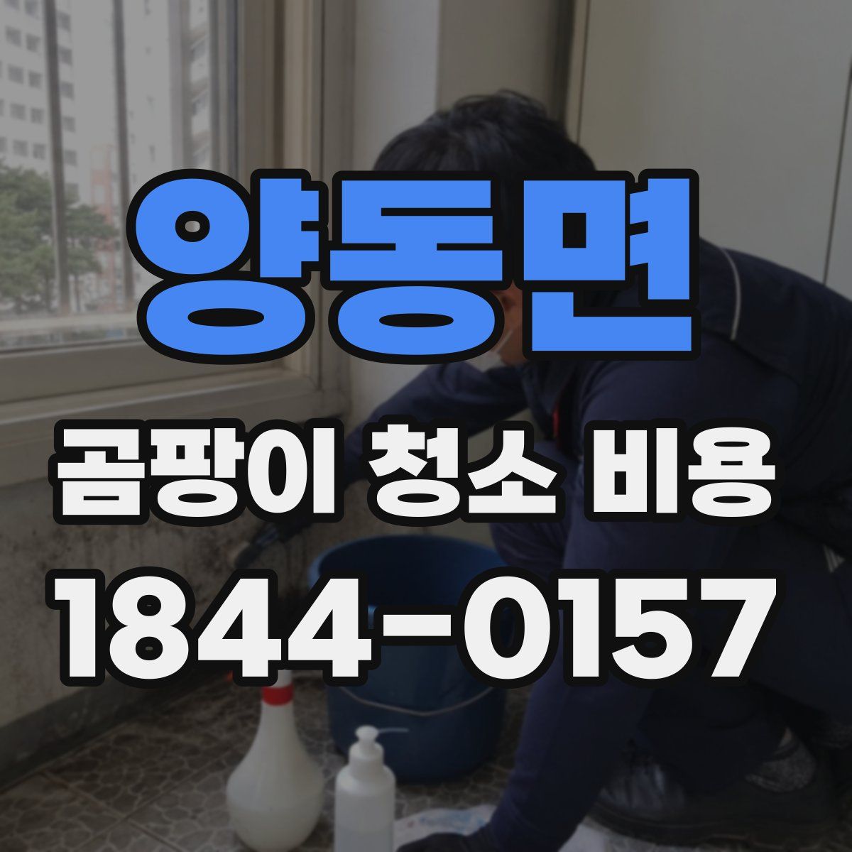 양동면 곰팡이 청소 비용