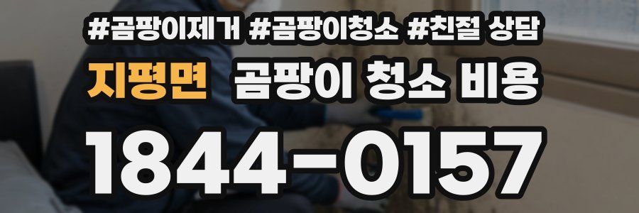 지평면 곰팡이 청소 비용