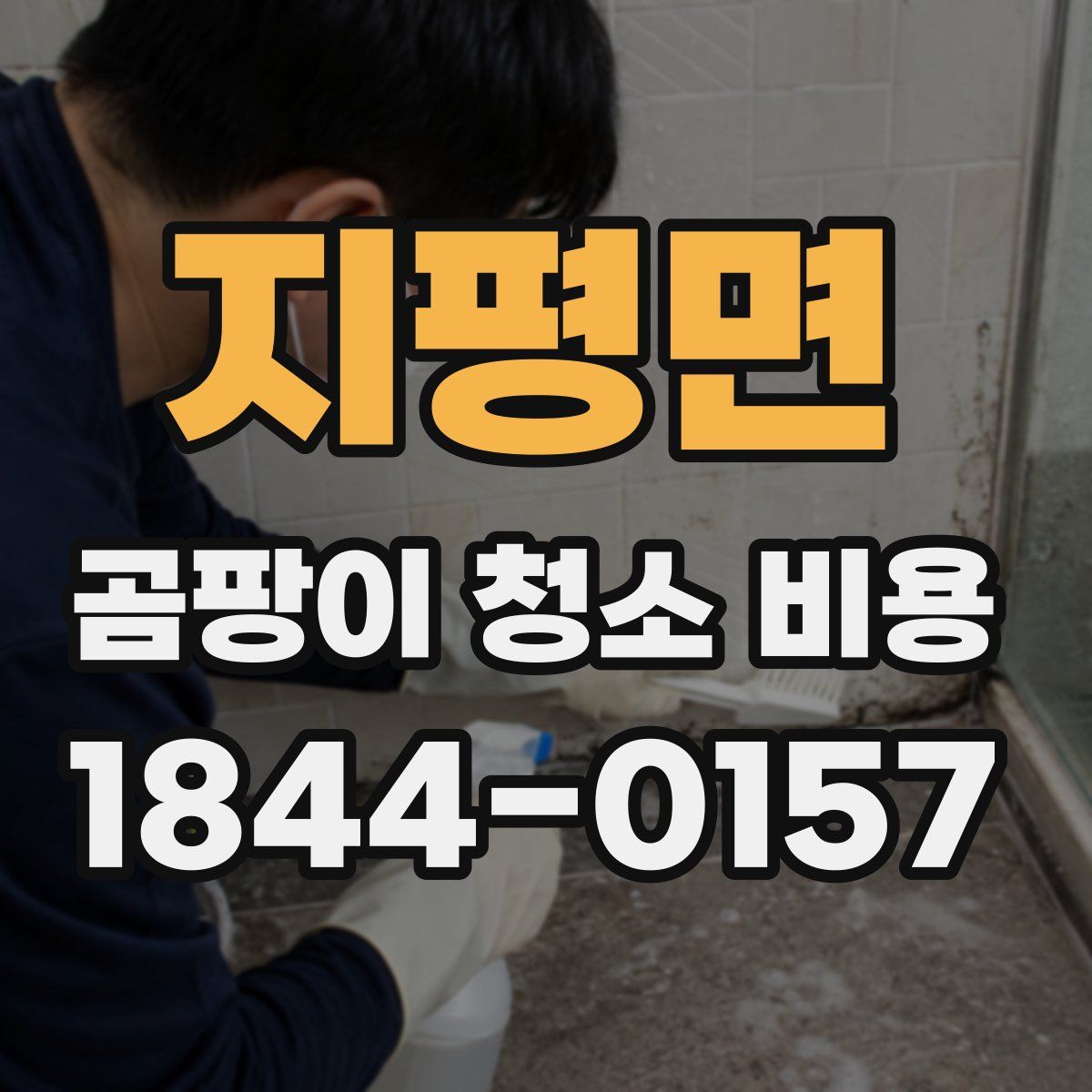 지평면 곰팡이 청소 비용