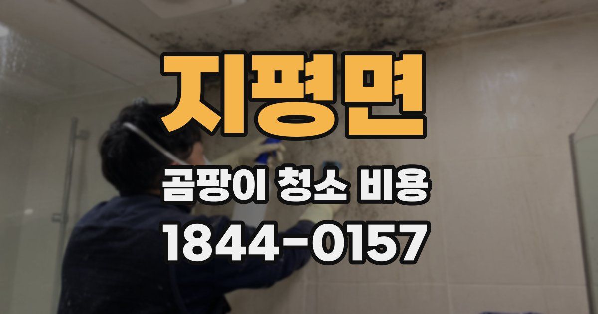 지평면 곰팡이 청소 비용