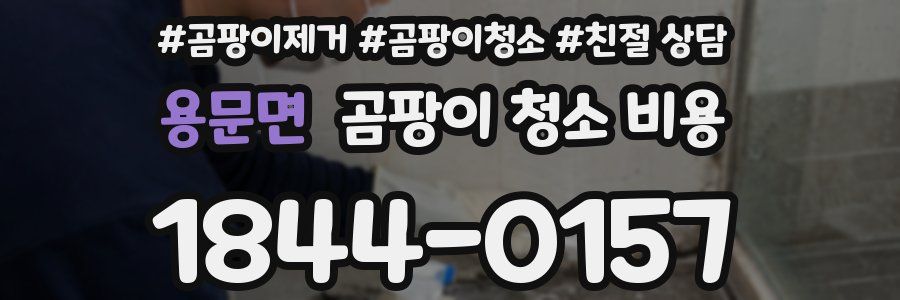 용문면 곰팡이 청소 비용