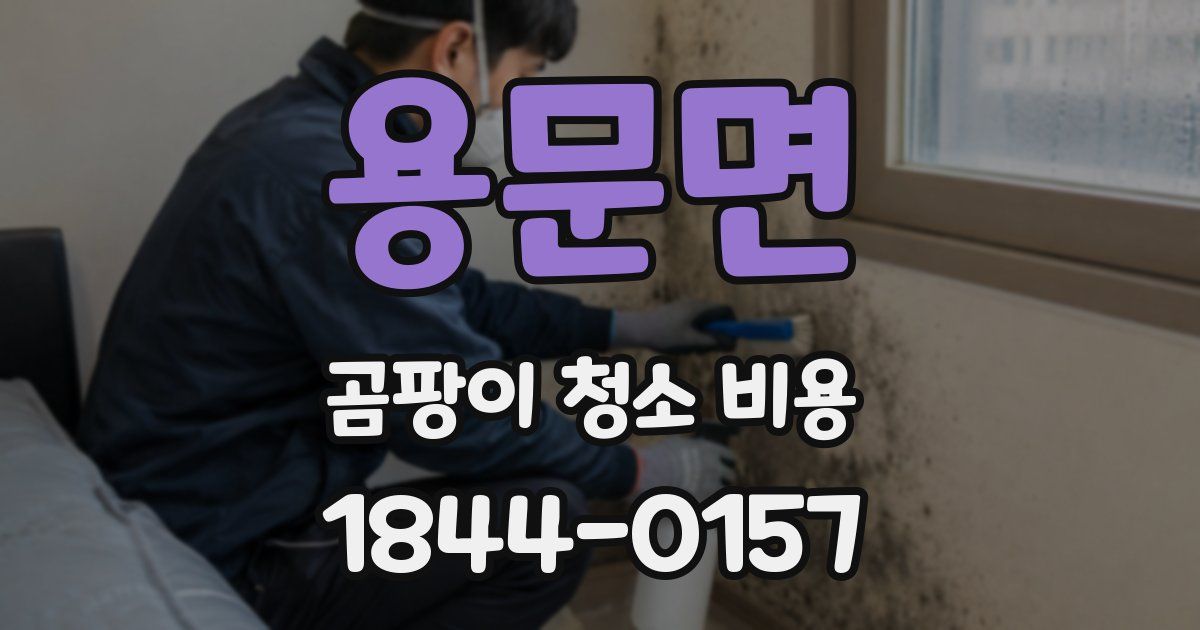 용문면 곰팡이 청소 비용