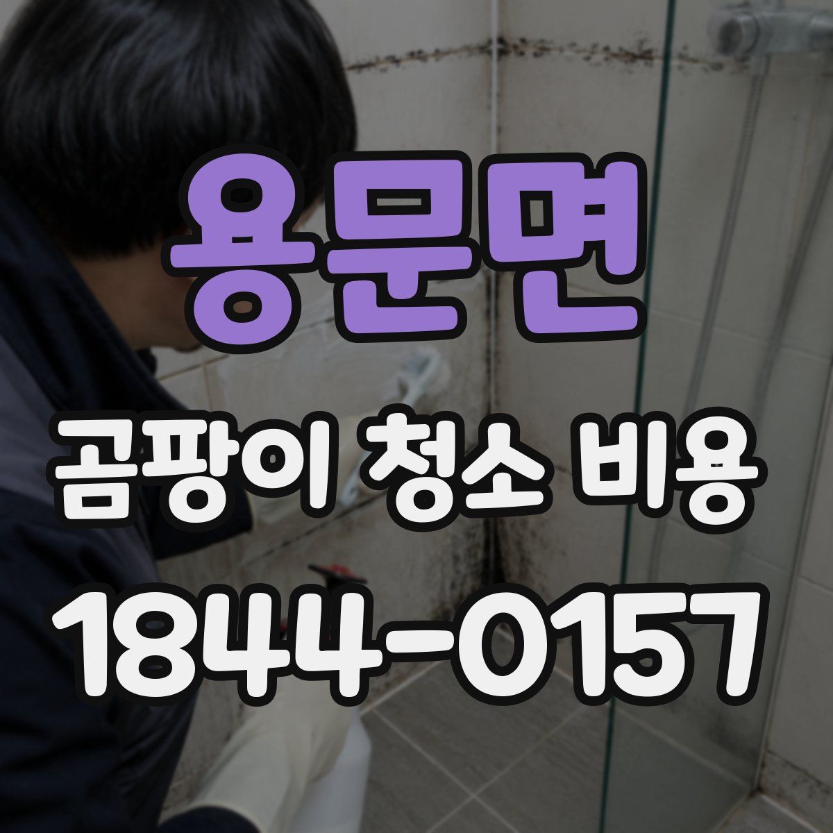 용문면 곰팡이 청소 비용