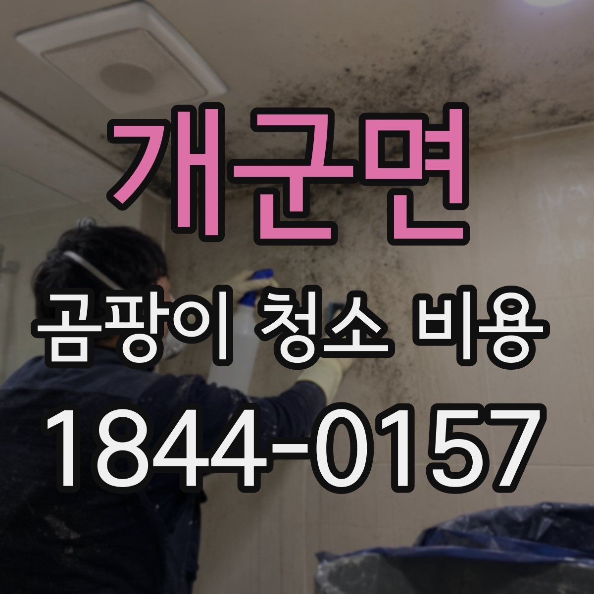 개군면 곰팡이 청소 비용 비교 시 과다한 항목 피하는 법