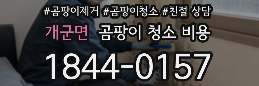 개군면 곰팡이 청소 비용