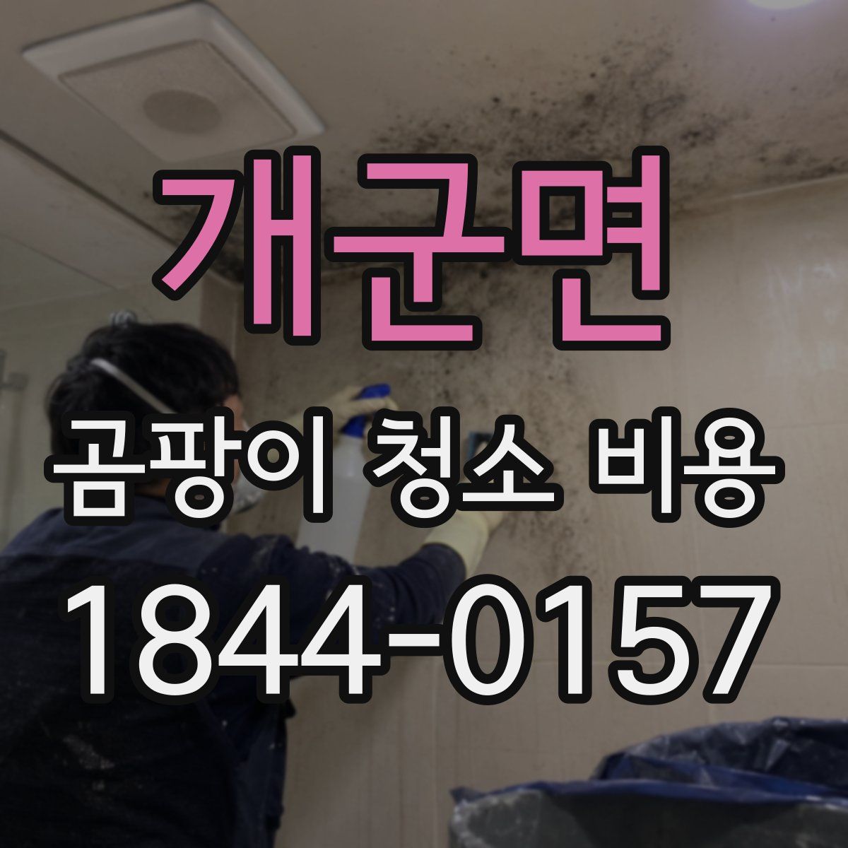 개군면 곰팡이 청소 비용