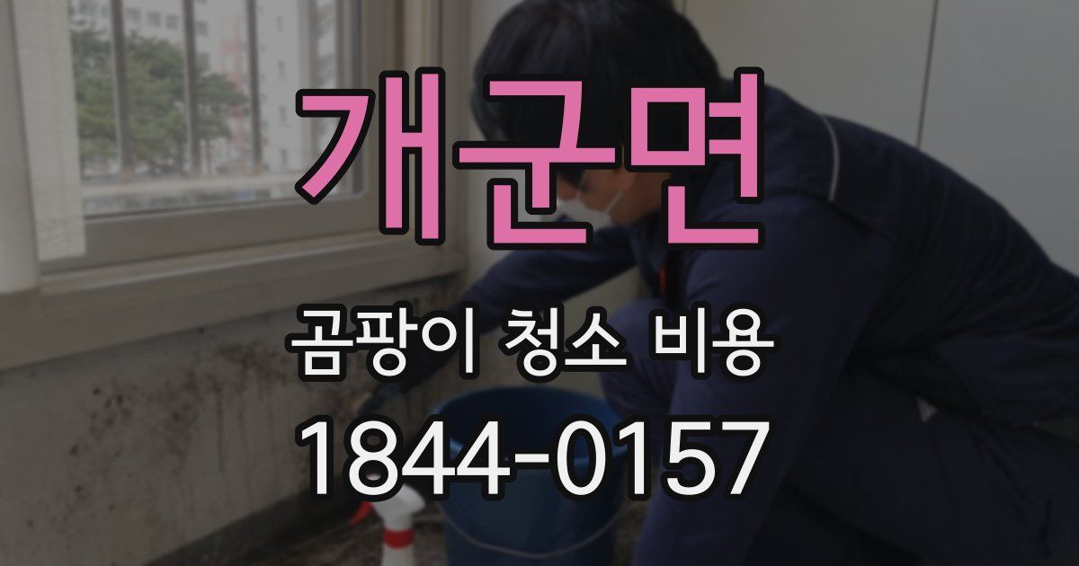 개군면 곰팡이 청소 비용