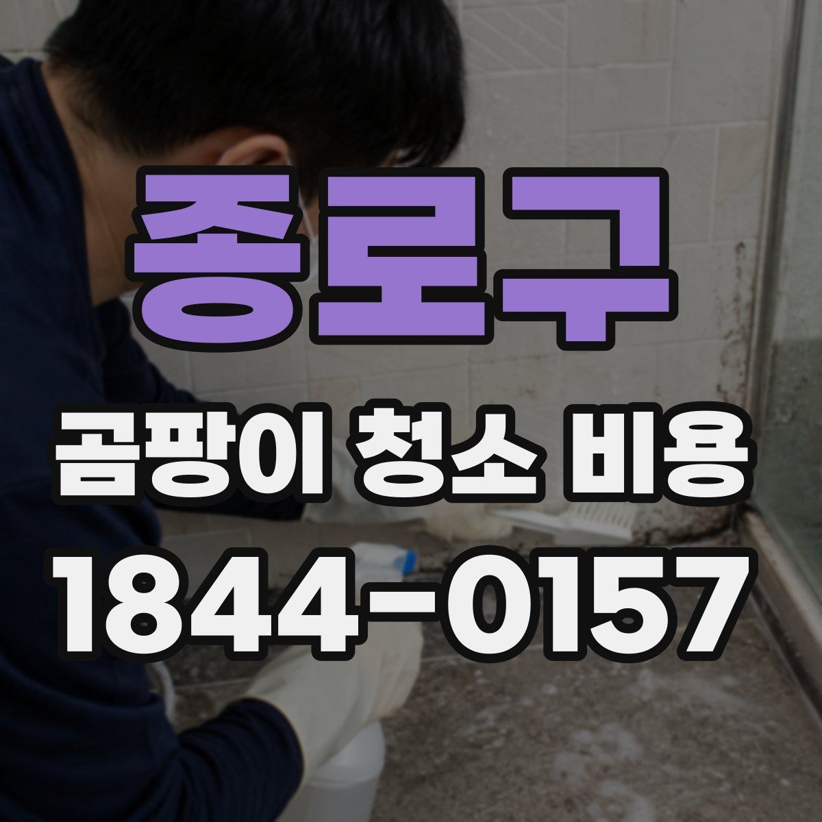 종로구 곰팡이 청소 비용
