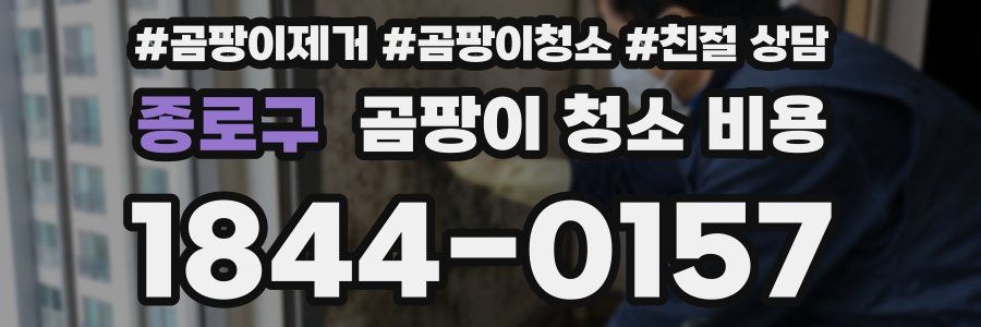 종로구 곰팡이 청소 비용