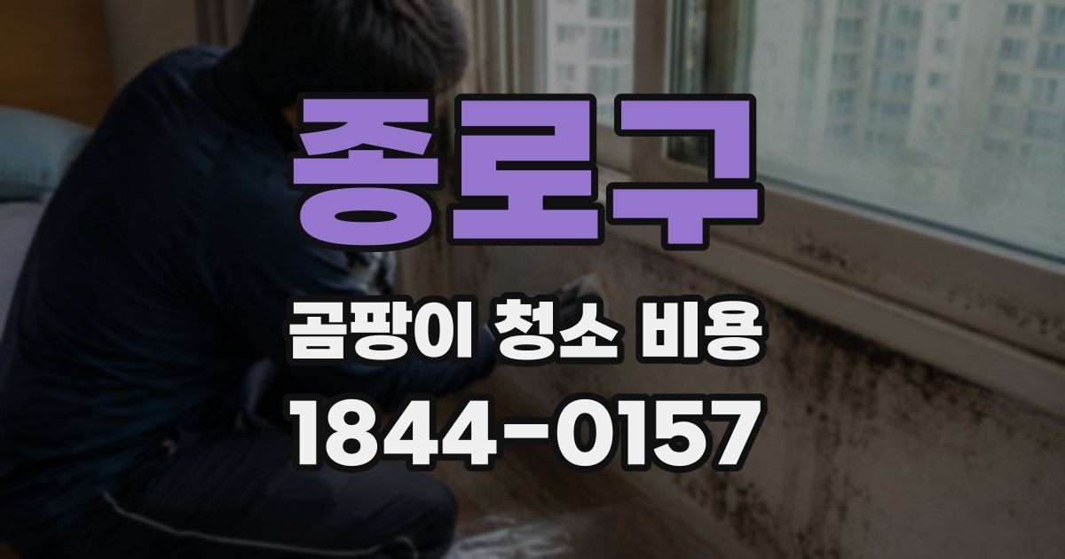종로구 곰팡이 청소 비용