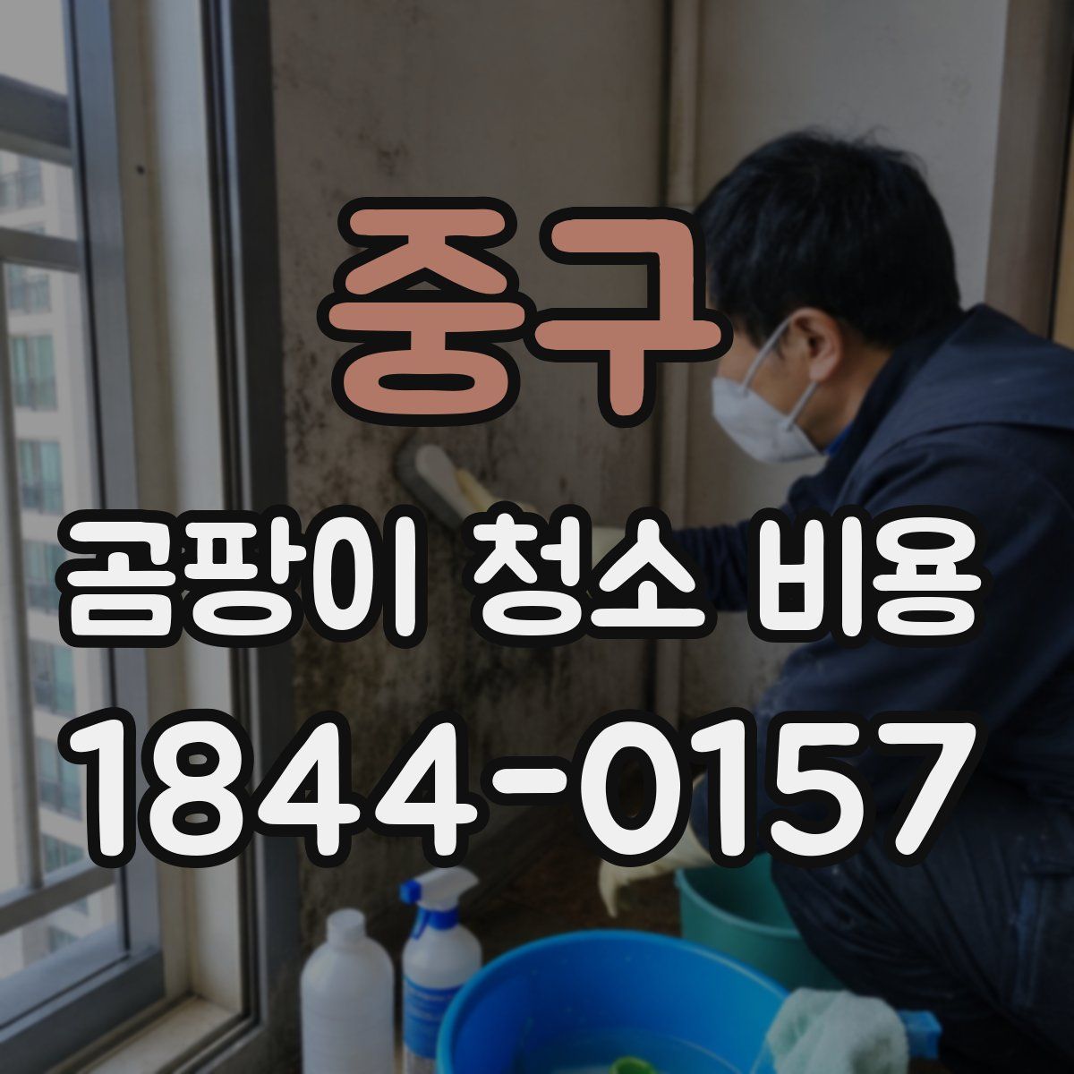 중구 곰팡이 청소 비용