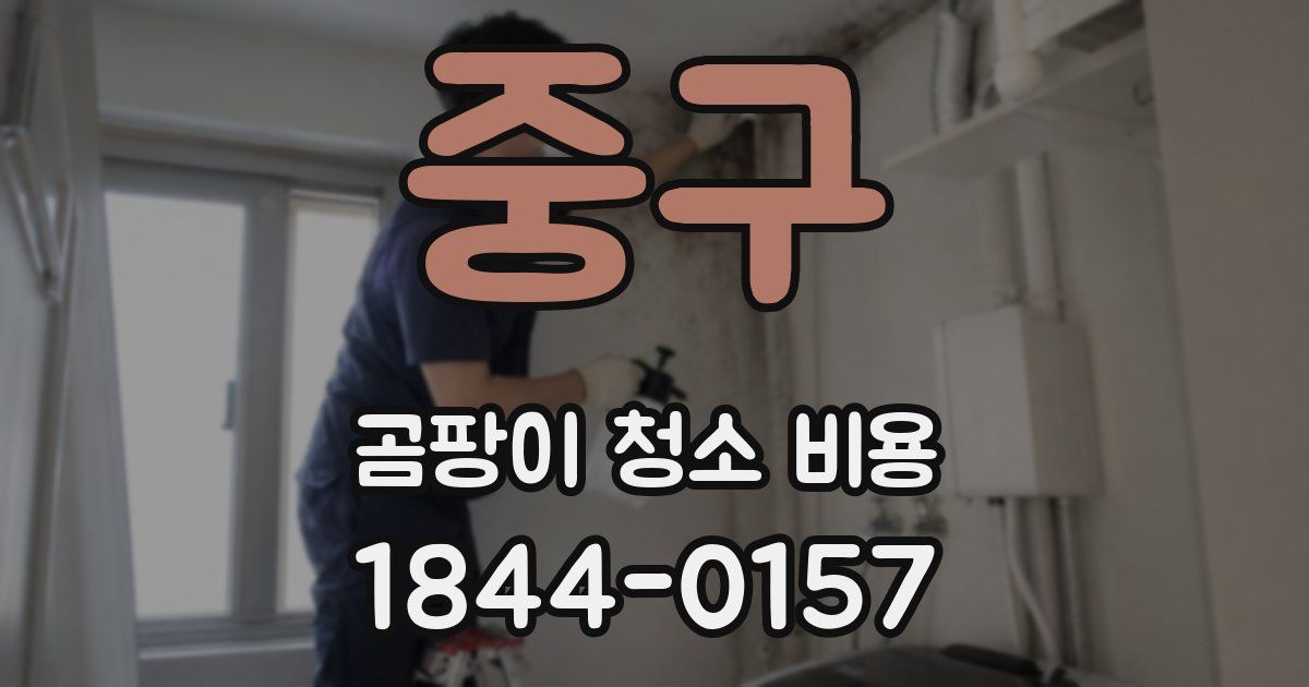 중구 곰팡이 청소 비용