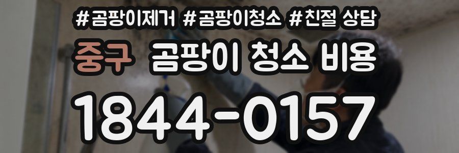중구 곰팡이 청소 비용