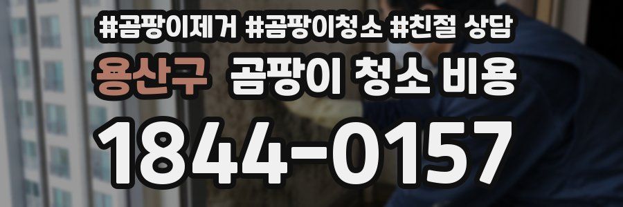 용산구 곰팡이 청소 비용
