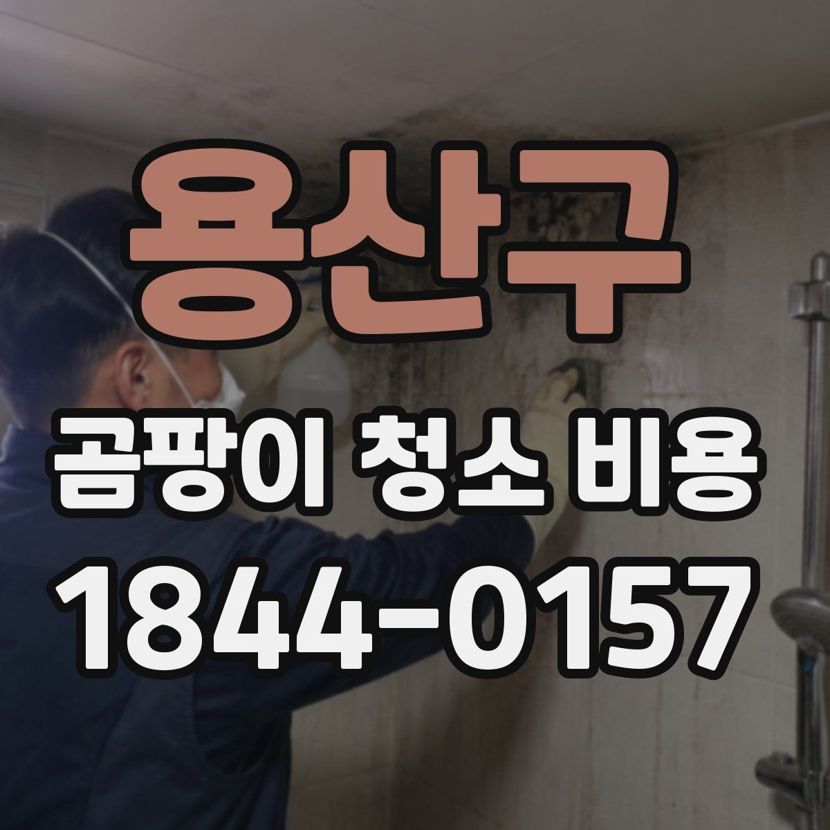 용산구 곰팡이 청소 비용