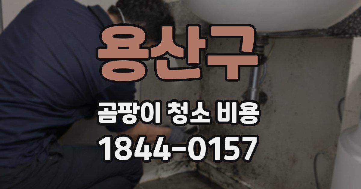 용산구 곰팡이 청소 비용