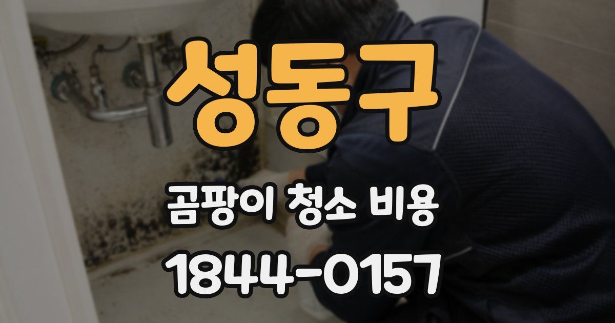 성동구 곰팡이 청소 비용