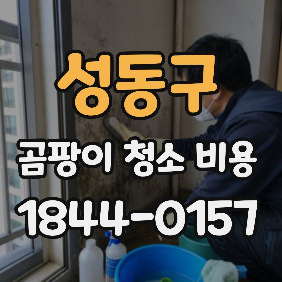 성동구 곰팡이 청소 비용