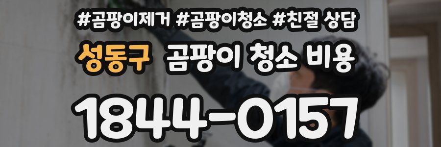성동구 곰팡이 청소 비용