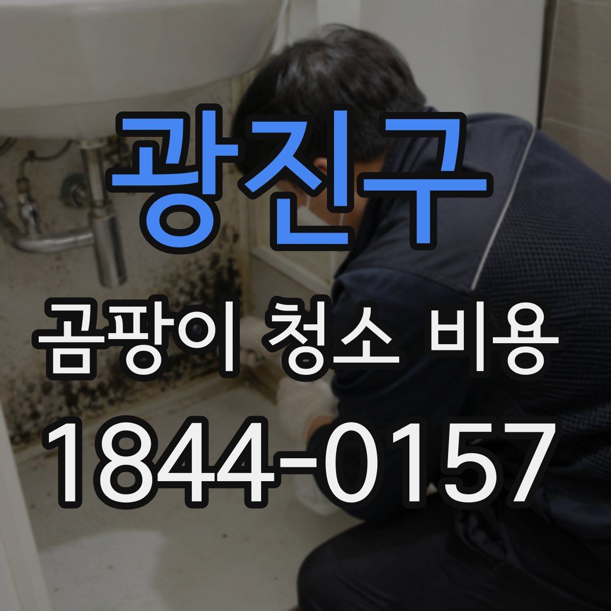 광진구 곰팡이 청소 비용
