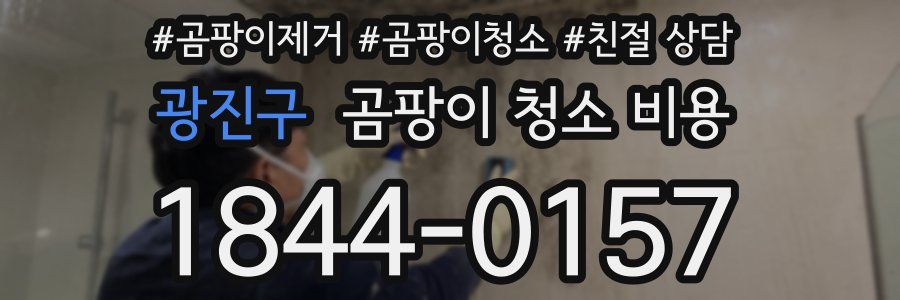 광진구 곰팡이 청소 비용