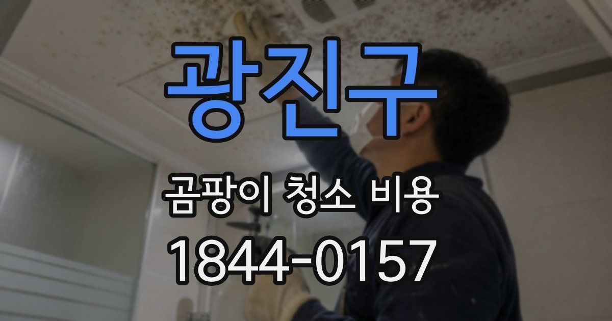 광진구 곰팡이 청소 비용