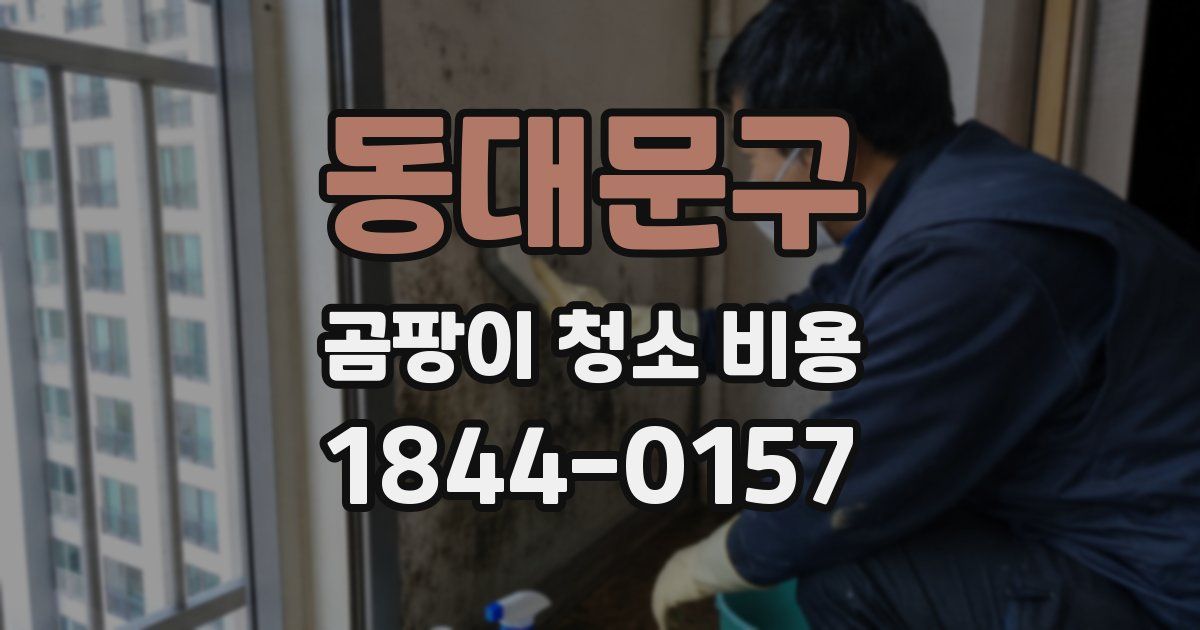 동대문구 곰팡이 청소 비용