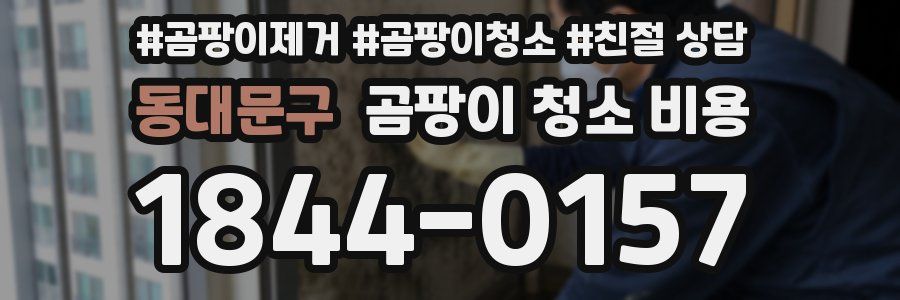 동대문구 곰팡이 청소 비용