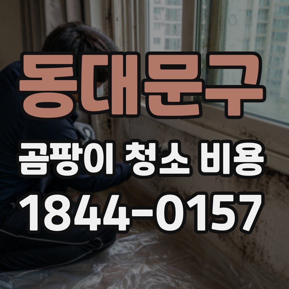 동대문구 곰팡이 청소 비용