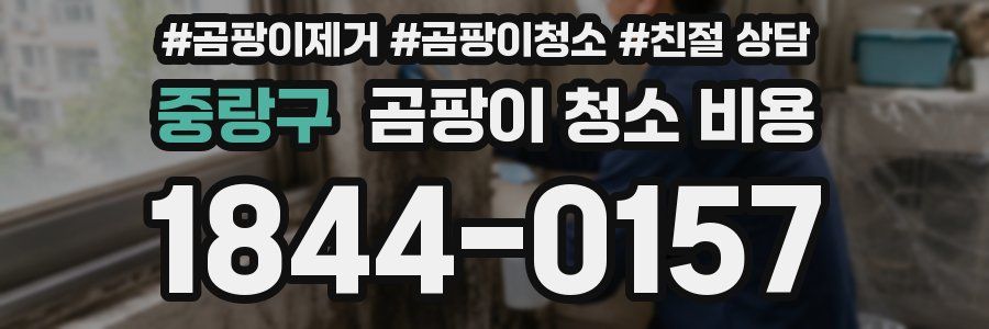 중랑구 곰팡이 청소 비용
