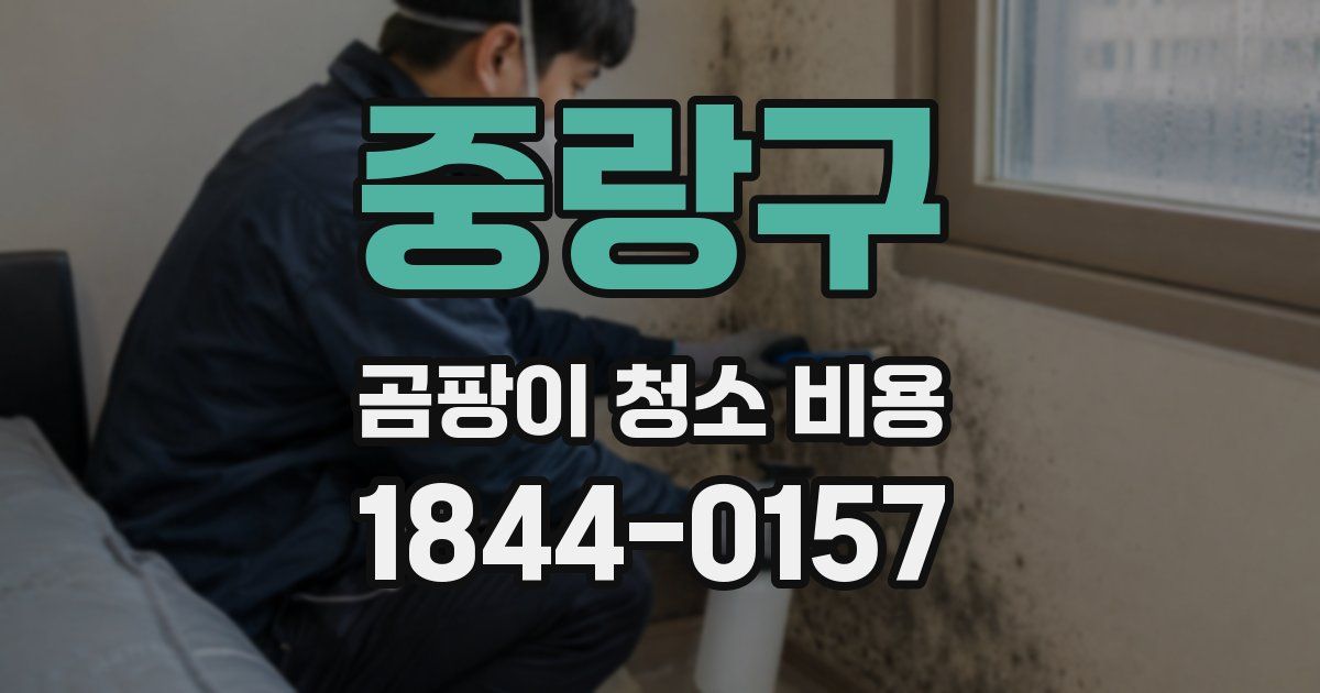중랑구 곰팡이 청소 비용