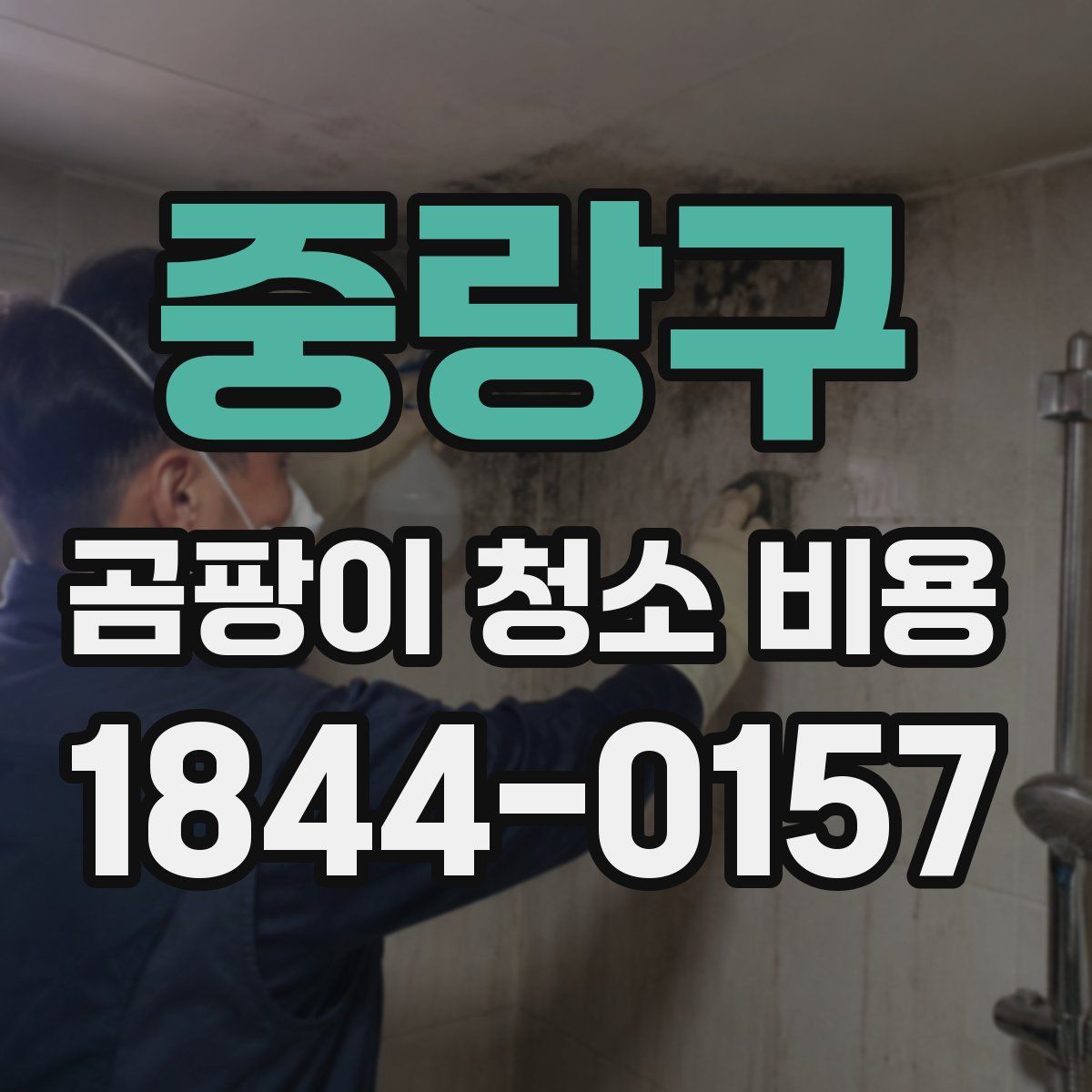 중랑구 곰팡이 청소 비용