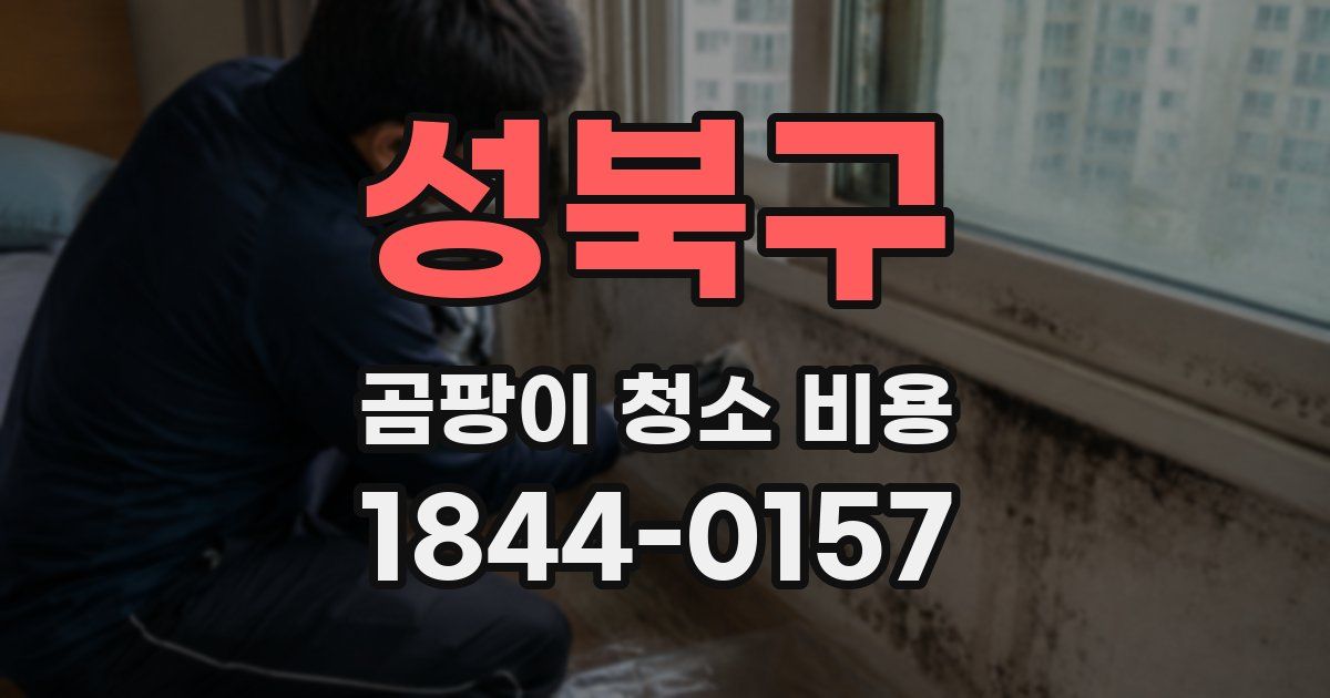 성북구 곰팡이 청소 비용