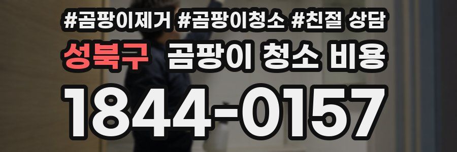 성북구 곰팡이 청소 비용