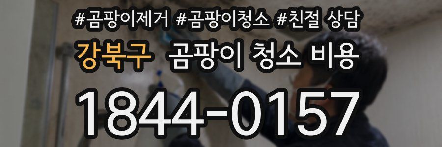 강북구 곰팡이 청소 비용