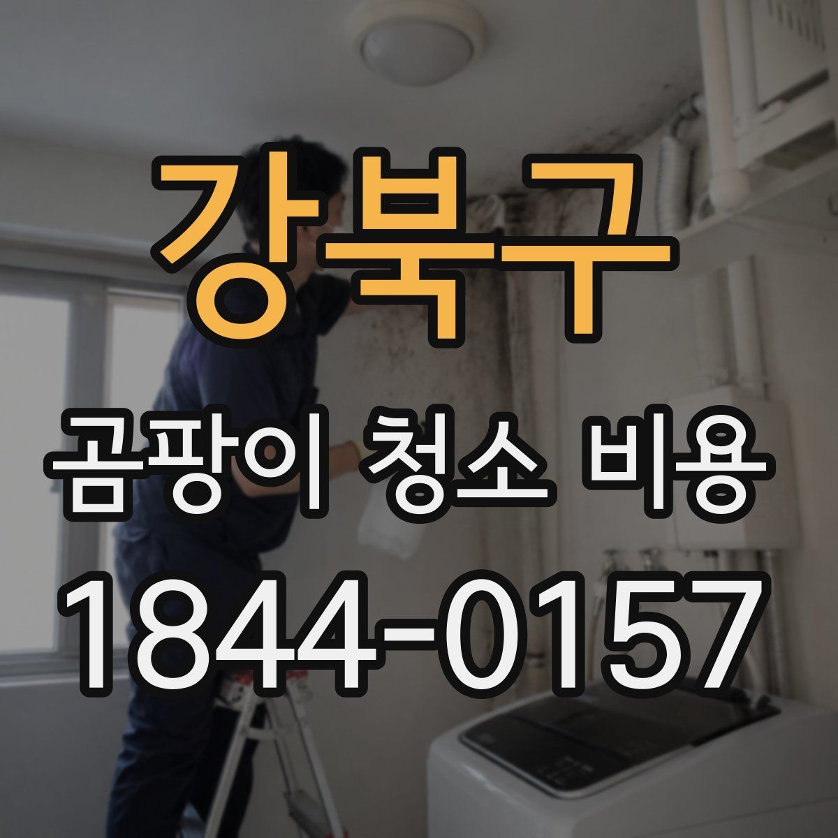 강북구 곰팡이 청소 비용