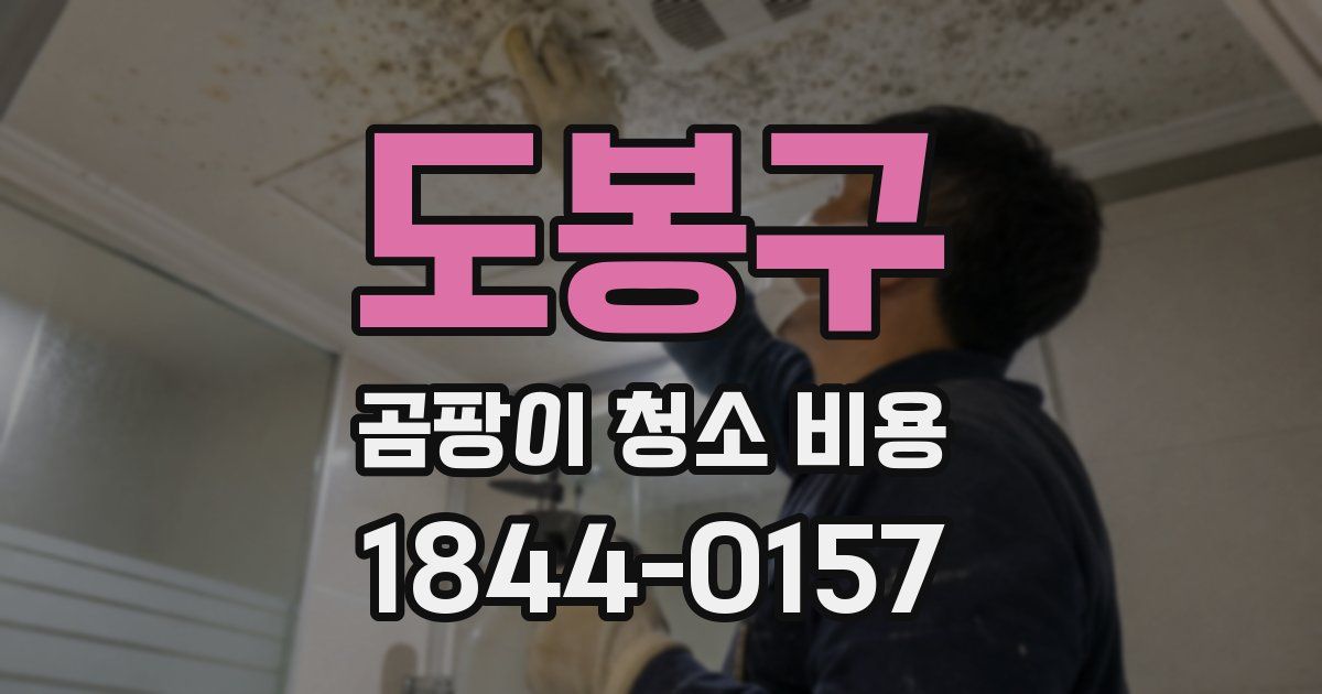 도봉구 곰팡이 청소 비용