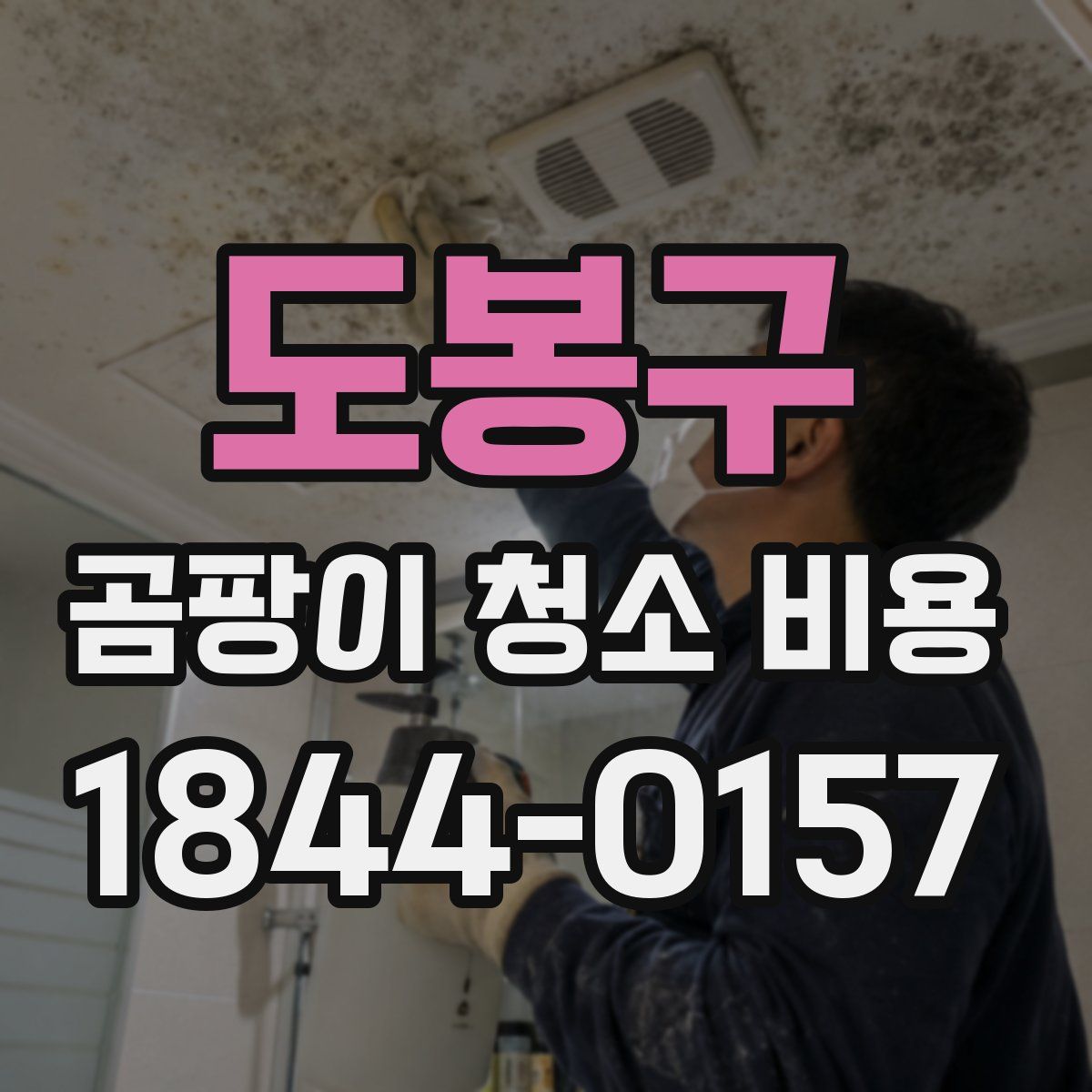 도봉구 곰팡이 청소 비용