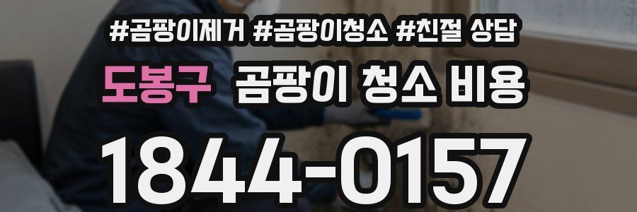 도봉구 곰팡이 청소 비용