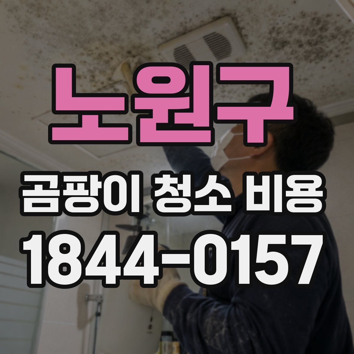 노원구 곰팡이 청소 비용