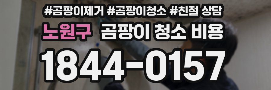 노원구 곰팡이 청소 비용
