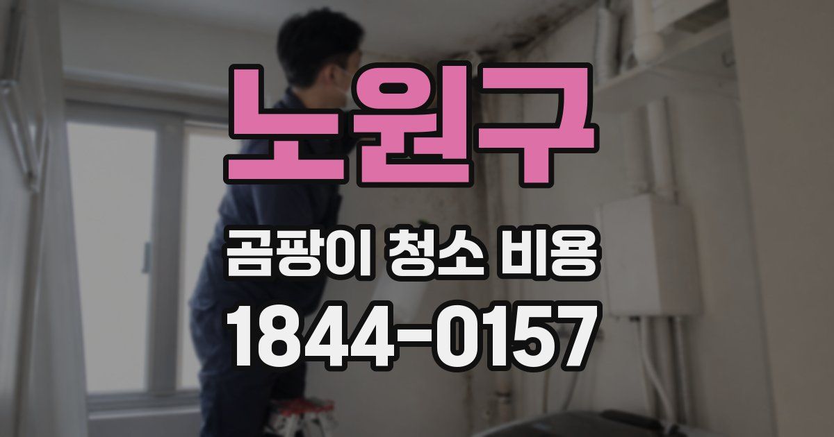 노원구 곰팡이 청소 비용