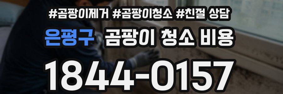 은평구 곰팡이 청소 비용